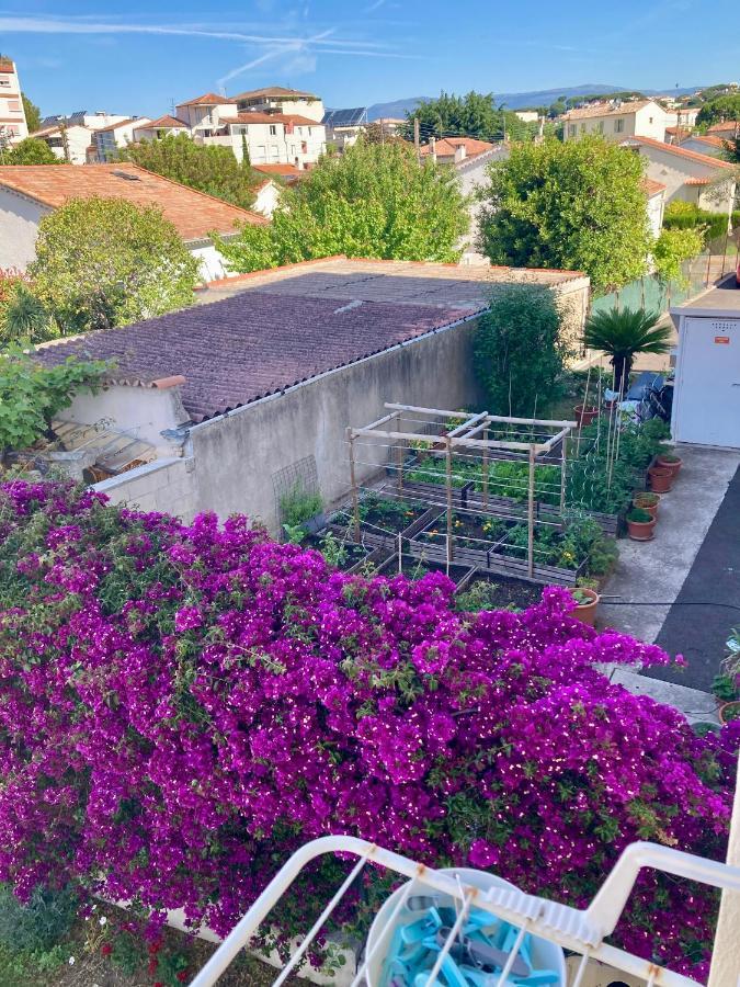 Cannes City B&B Exteriör bild